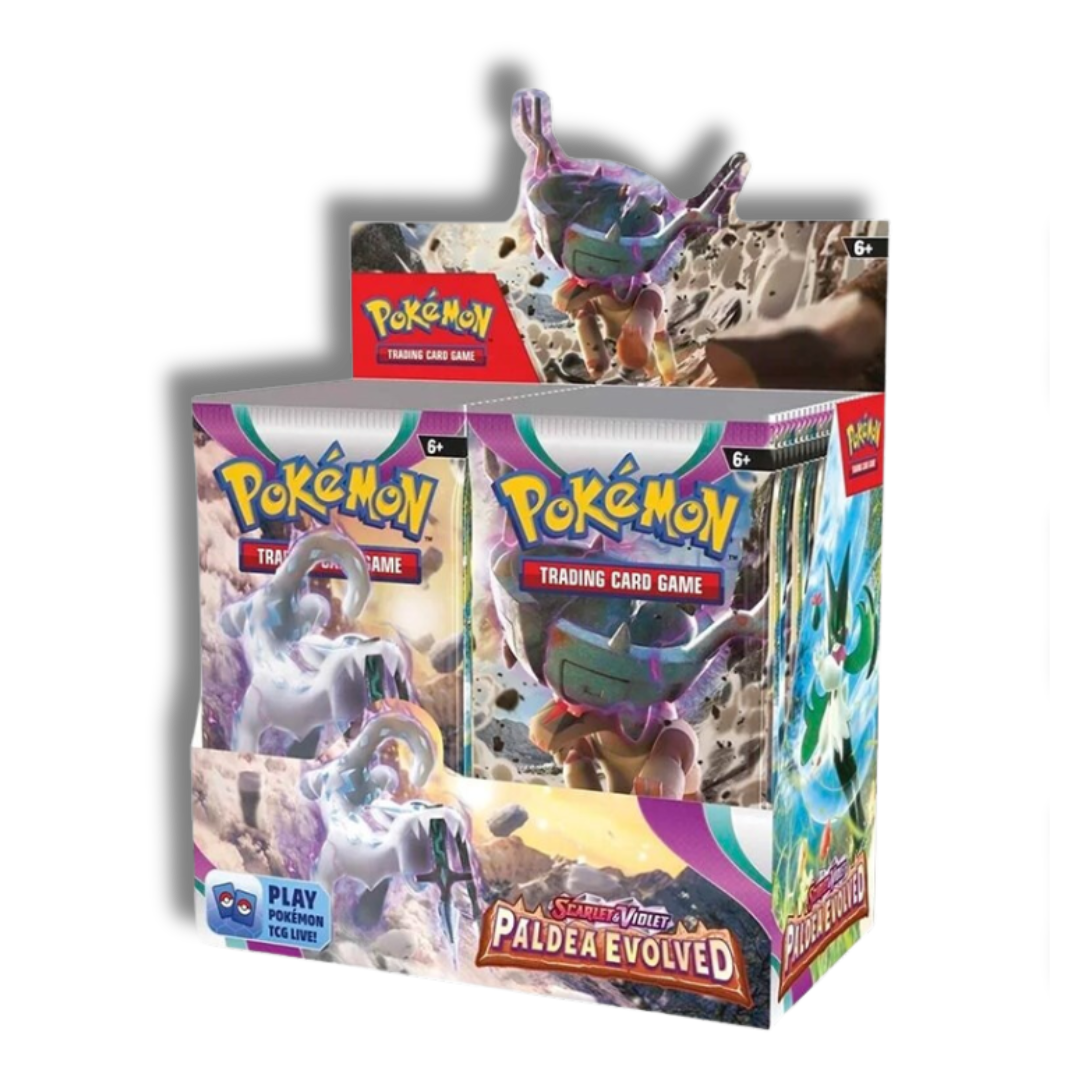 Caja de 36 Sobres de Evoluciones en Paldea - Español