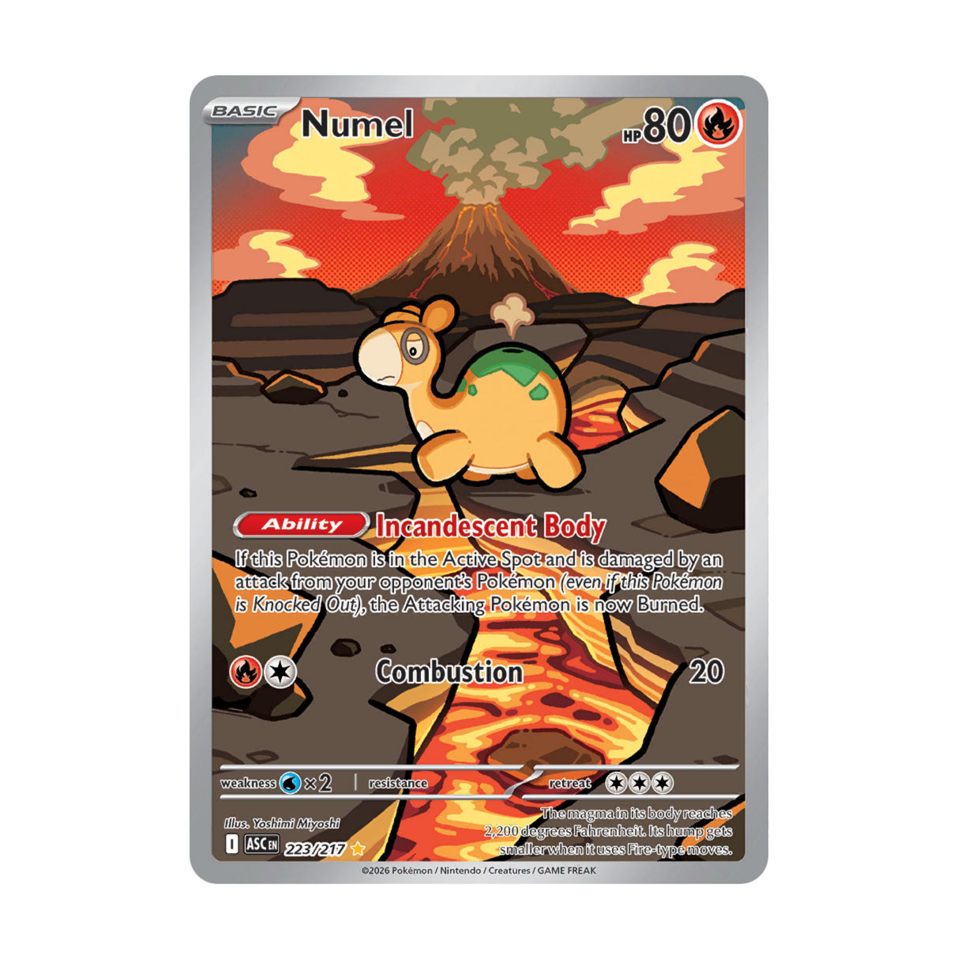 Numel ASC 223 - NM Español
