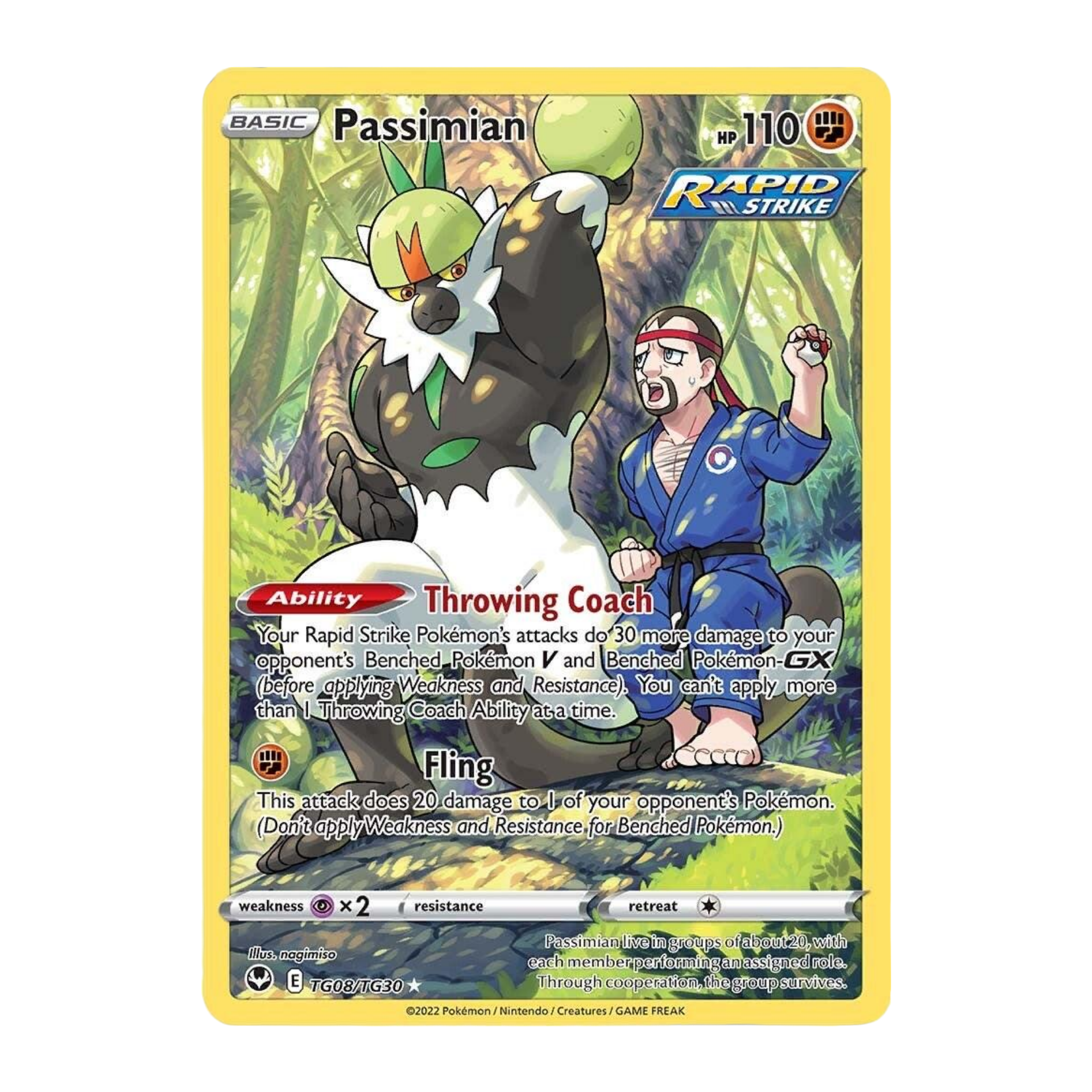 Passimian SIT TG08 - NM Español