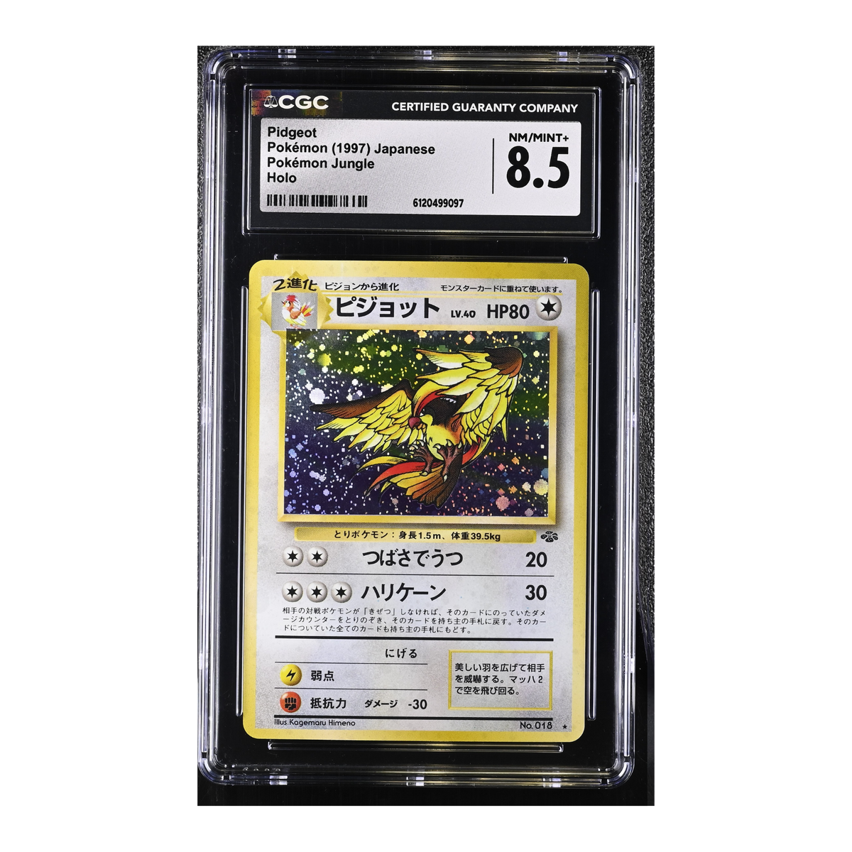 Pidgeot (1997) Japanese Pokémon Jungle Holo - CGC 8.5