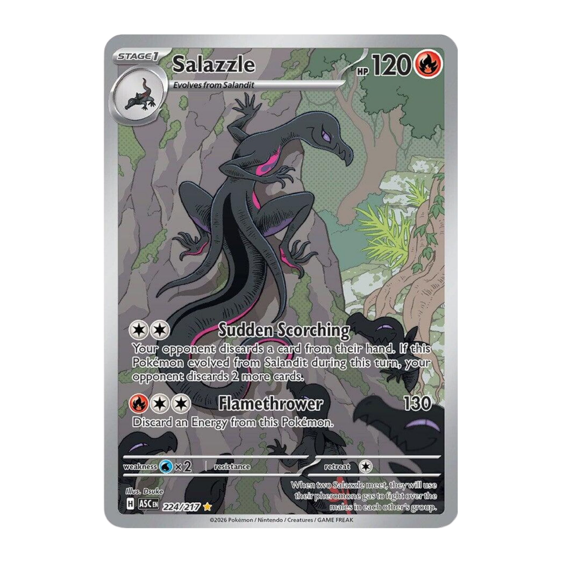 Salazzle ASC 224 - NM Español