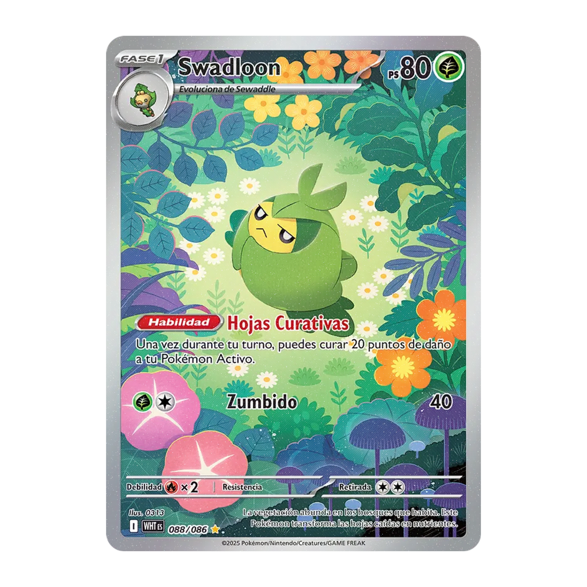 Swadloon WHT 088 - NM Español