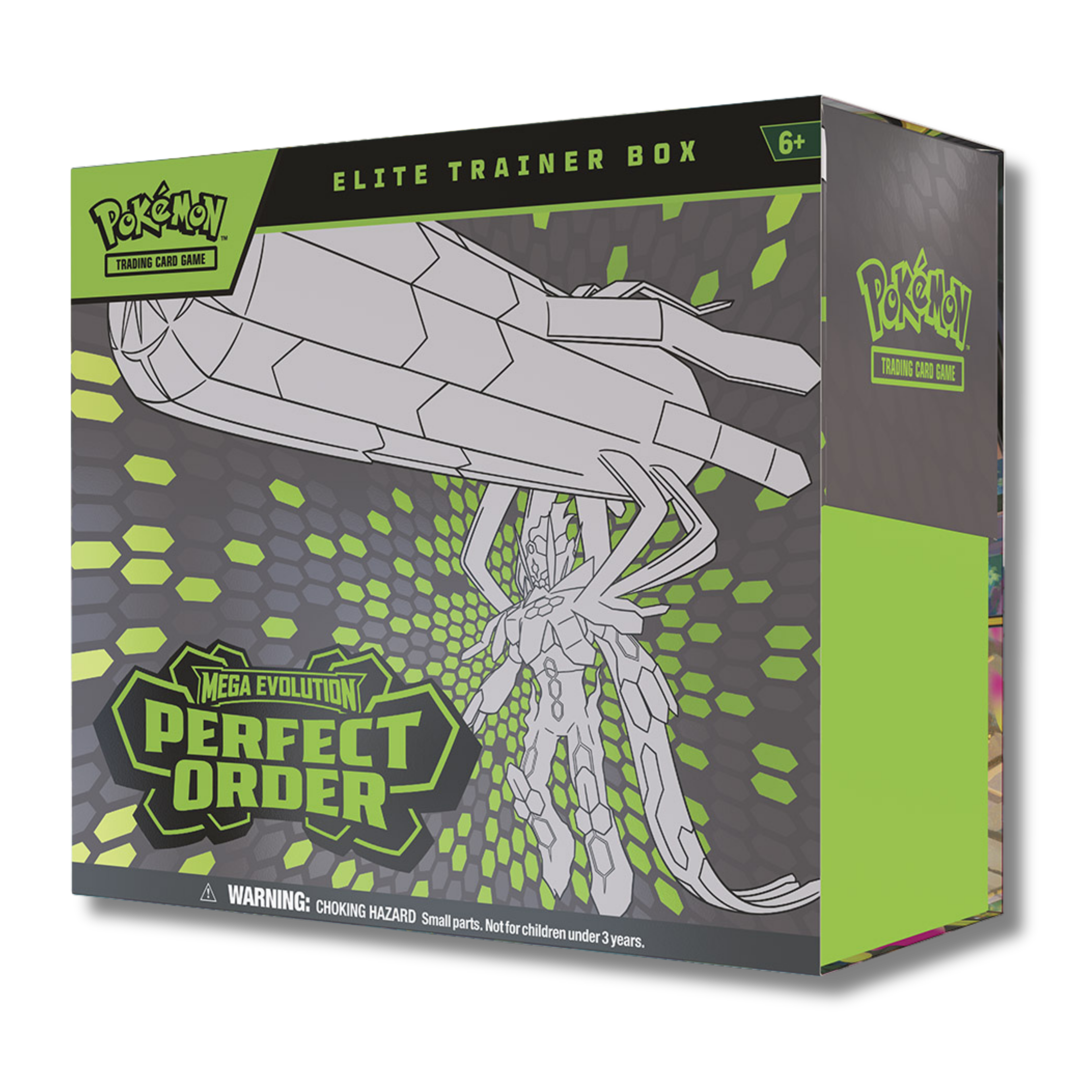 ETB Caja de Entrenador Elite Perfect Order - Ingles